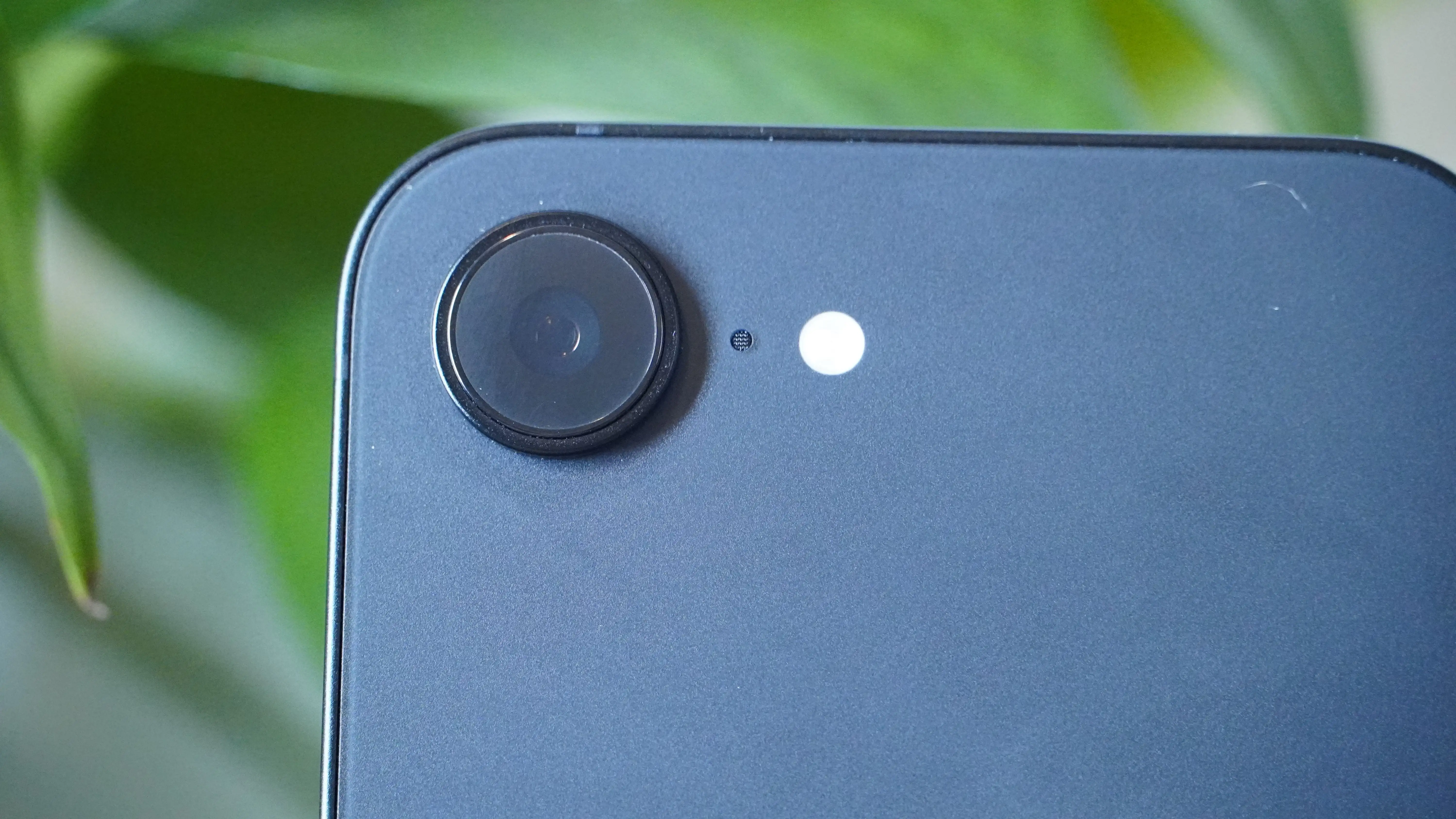 全明星首发,投票将于,日开启投票,开云登录入口,开云平台,开云注册网址,开云app,开云官网,开云网站,开云网页版