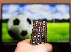 利雅得胜利,主场对阵国,中场灵魂卡,开云登录入口,开云平台,开云注册网址,开云app,开云官网,开云网站,开云网页版