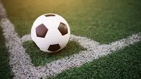 陈雨菲洛杉矶奥运三度征战，力争佳绩！