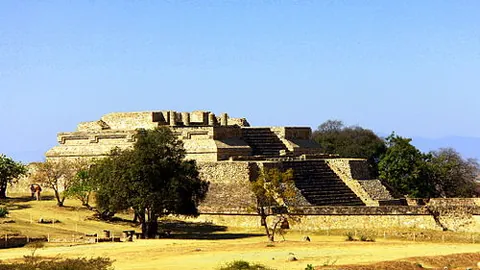 亚冠外援新规或针对沙特设计，日本足球在亚洲领先地位凸显