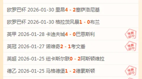 “英联杯激战：阿森纳主场挑战纽卡斯尔，枪手欲振翅高飞，喜鹊连胜势头强劲”